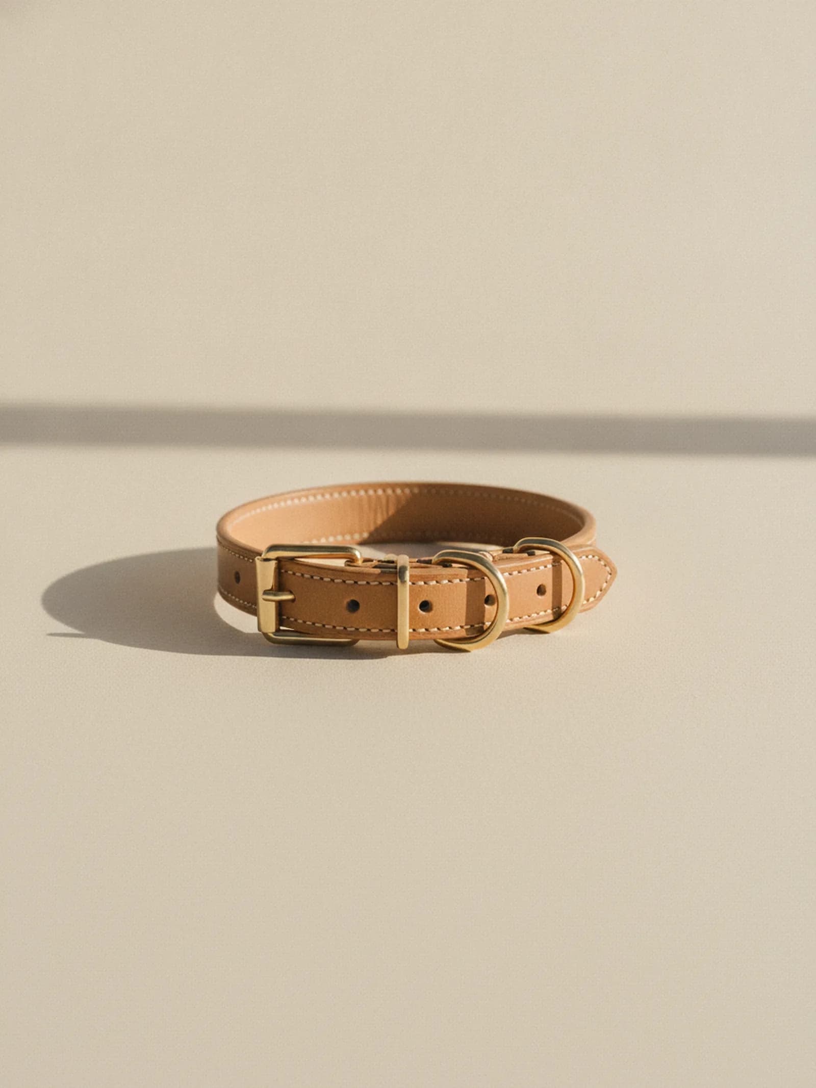Bravura Leather Collar