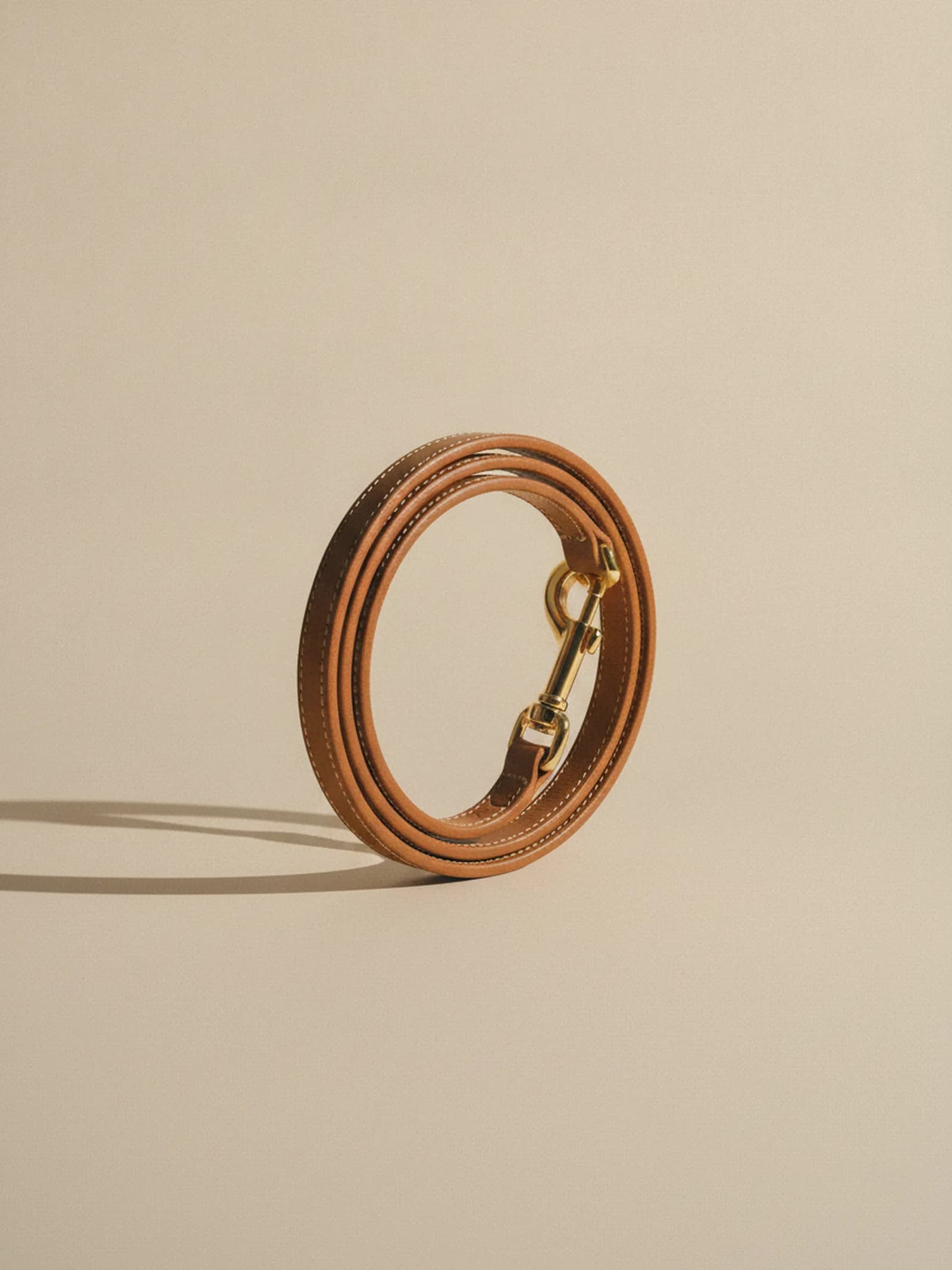 Bravura Leather Lead